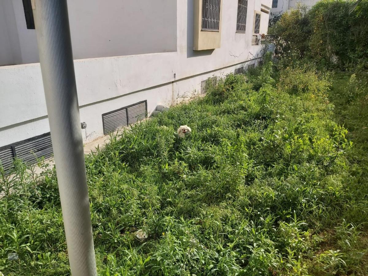 Ideal Appart Ain Zaghouan Tunis El Aouina Exterior foto